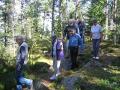 Skogsvandring